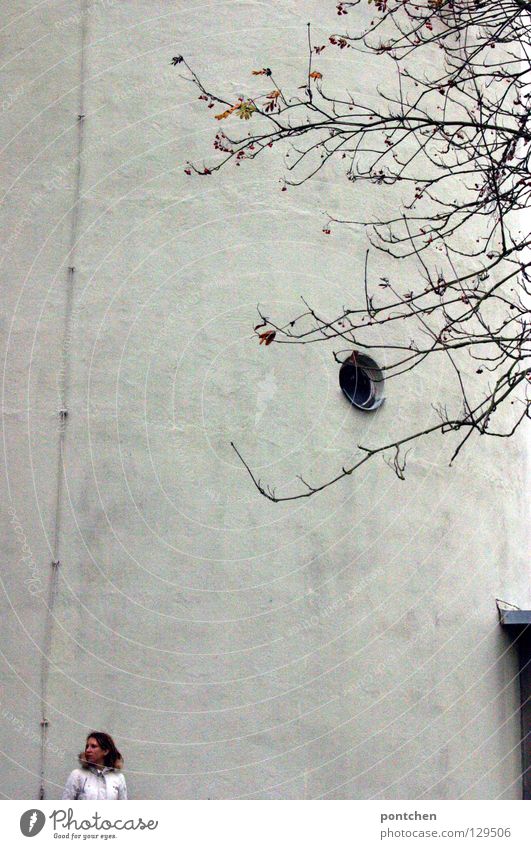 Klein Ferne Winter Frau Erwachsene 1 Mensch Baum Turm Mantel Fell stehen groß kalt weiß Wand beeindruckend verfallen leer Größe verloren frieren Einsamkeit