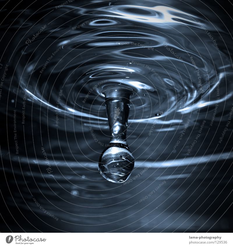 Fallin' (Wassertropfen) Flüssigkeit liquide durstig Getränk frisch Erfrischung Oberfläche Wasseroberfläche Reflexion & Spiegelung glänzend Wellen schmelzen