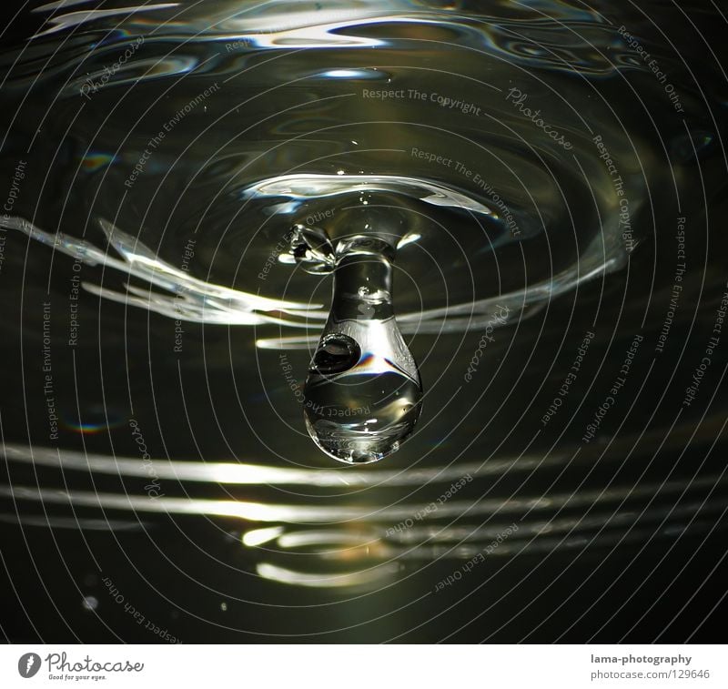 Keep on fallin' Wassertropfen Flüssigkeit liquide durstig Getränk frisch Erfrischung Oberfläche Wasseroberfläche Reflexion & Spiegelung glänzend Wellen