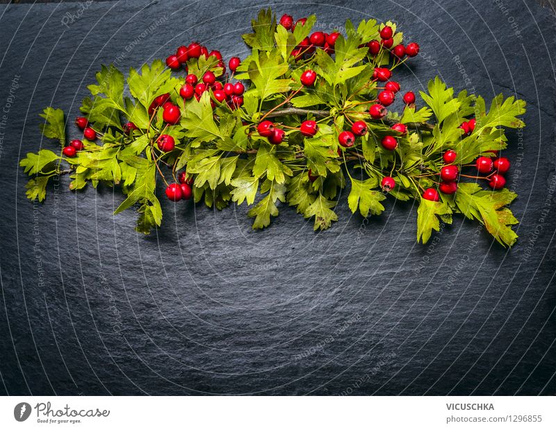 Herbst Hintergrund mit roten Weißdorn Beeren Stil Design Alternativmedizin Sommer Garten Innenarchitektur Dekoration & Verzierung Tisch Natur Pflanze