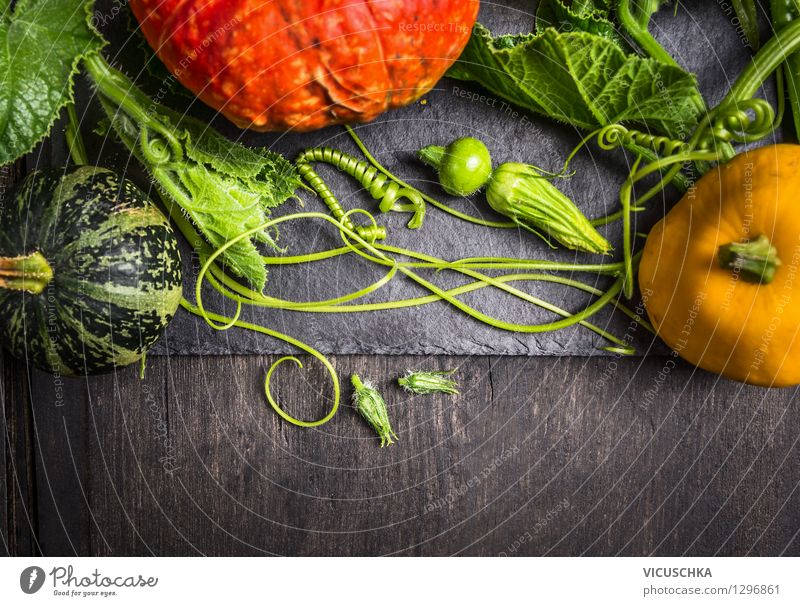 Bunte Kürbisse auf dunklem Holztisch Lebensmittel Gemüse Ernährung Bioprodukte Vegetarische Ernährung Diät Stil Design Gesunde Ernährung Haus Garten