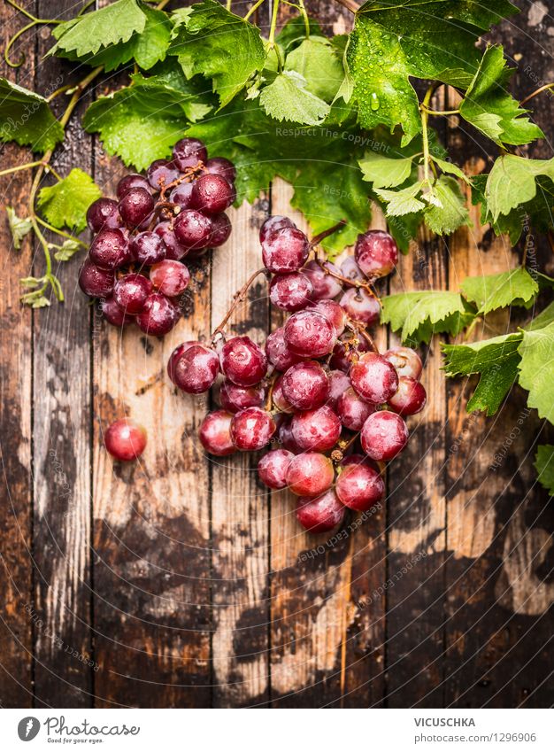 Rose Weintrauben mit Rebe und Blätter Lebensmittel Frucht Ernährung Frühstück Büffet Brunch Bioprodukte Diät Stil Design Gesunde Ernährung Garten Tisch Natur