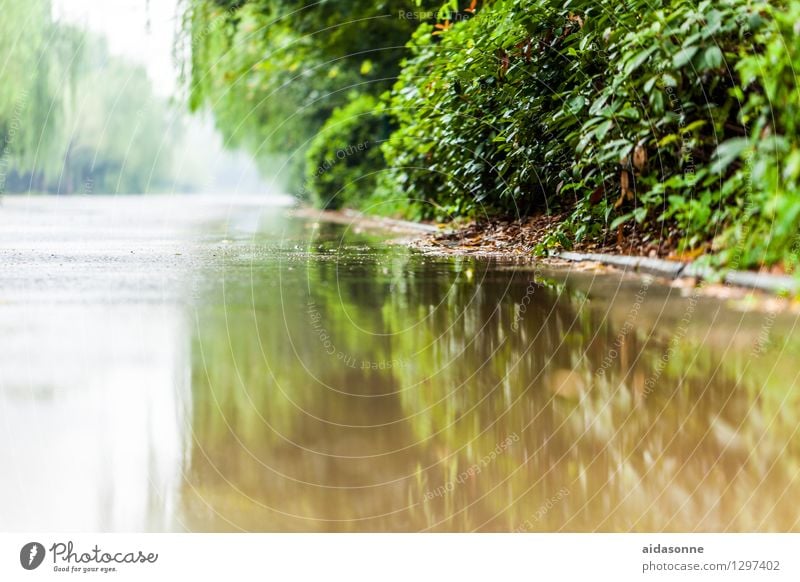 nasse Strasse Stadt Menschenleer Verkehrswege Straße Pfütze geheimnisvoll Natur Umwelt Reflexion & Spiegelung Wasserspiegelung Farbfoto Tag