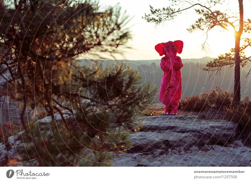 Hihi Kunst Kunstwerk ästhetisch Elefant rosa Ohr Wald Sächsische Schweiz Sonne Unsinn Freude spaßig Spaßvogel Spaßgesellschaft Karnevalskostüm verkleidet