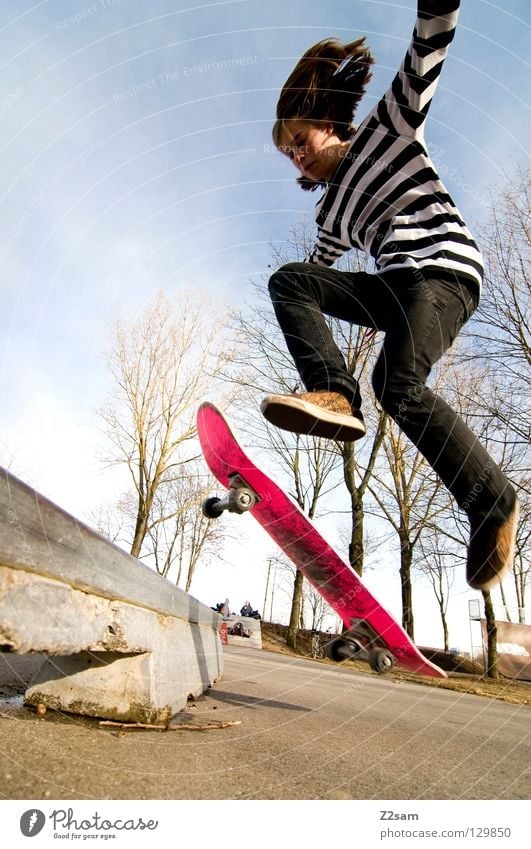 shove it | boardslide Aktion Skateboarding Zufriedenheit Salto springen gestreift Teer Beton Baum Weitwinkel Jugendliche Sport Pfütze Reflexion & Spiegelung