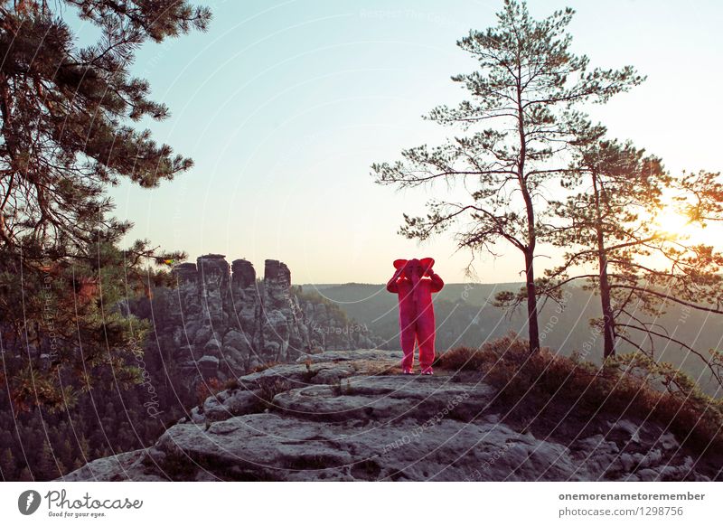 nichts hören. Kunst Kunstwerk ästhetisch Ohr Wald Felsen Sächsische Schweiz Horizont Sonne Stein Karnevalskostüm verkleidet Freude verstecken Farbfoto