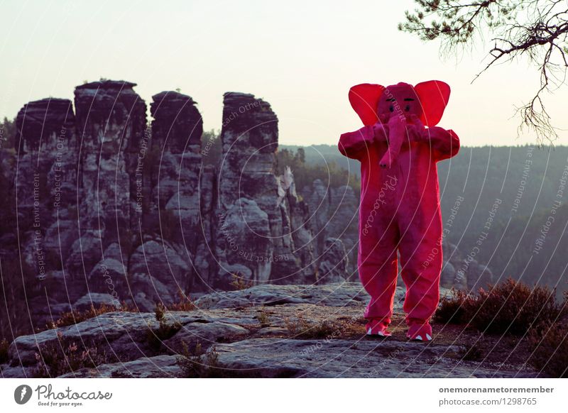 Darauf tröt ich! Kunst Kunstwerk ästhetisch Elefant rosa laut Ohr Kostüm Freude Unsinn Spaßvogel Sandstein Jugendkultur erschrecken Natur Außenaufnahme Karneval