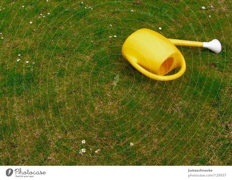 Kann die Kanne...? II gelb grün Kannen Gießkanne Gärtner Blume Gras Frühling Arbeit & Erwerbstätigkeit Gartenarbeit Freizeit & Hobby Tragegriff Griff gießen