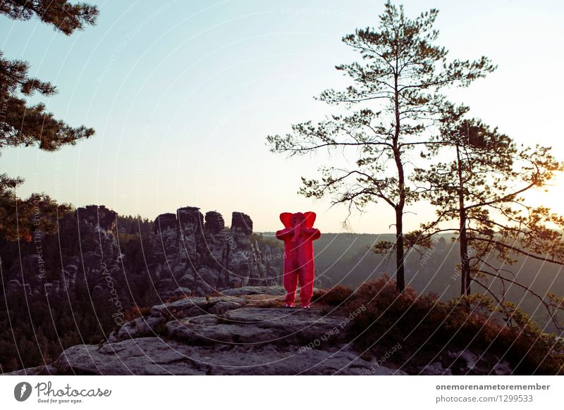Was soll'n das? Kunst Kunstwerk ästhetisch Elefant verrückt Verwechslung Tauschen Natur Wald Felsen Sächsische Schweiz Ossis Kostüm rosa Baum Freude spaßig