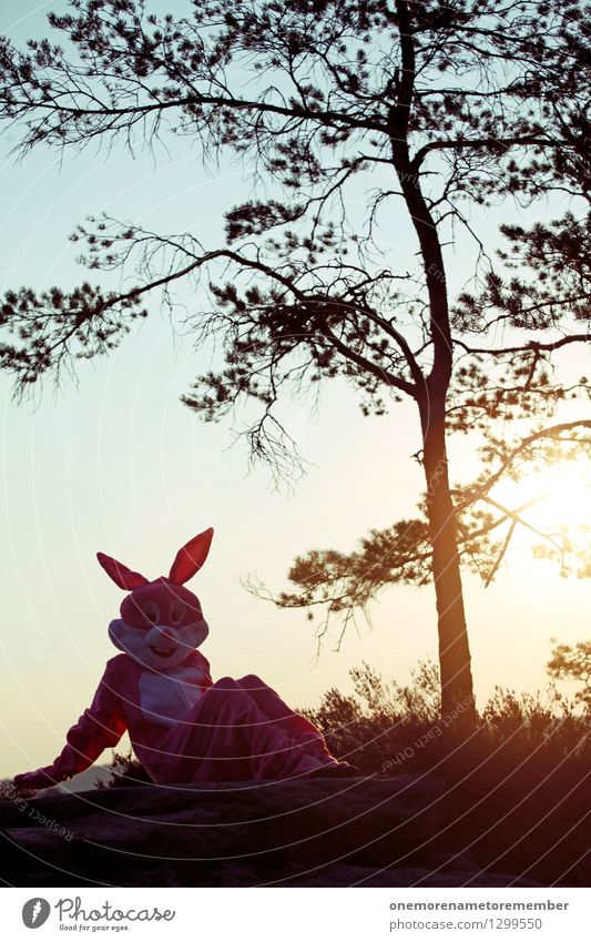Aufwärmphase Kunst Kunstwerk ästhetisch Hase & Kaninchen Hasenohren Hasenjagd Hasenbraten Hasenzahn Hasenpfote Sonnenbad Karnevalskostüm Surrealismus