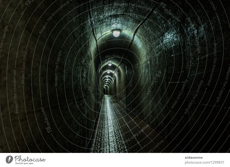 Tunnel Jiangyin China Stadt Menschenleer Sehenswürdigkeit Sorge Angst Todesangst Platzangst gefährlich Stress dunkel Lampe nass beängstigend gruselig Farbfoto