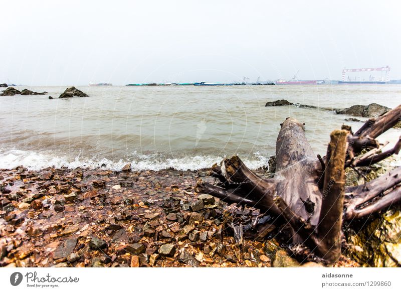 Yangtze Natur Landschaft Wasser Wolkenloser Himmel Sommer Schönes Wetter Flussufer braun Zufriedenheit Sehnsucht Umweltverschmutzung yangtze jangtze Jiangyin