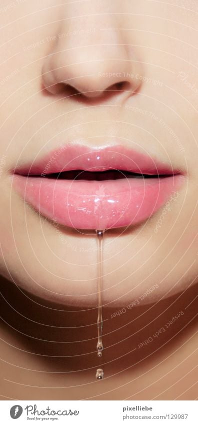 Die Wassernixe elegant schön Haut Gesicht Frau Erwachsene Nase Mund Lippen Wassertropfen glänzend authentisch Erotik Flüssigkeit nass natürlich rosa weiß