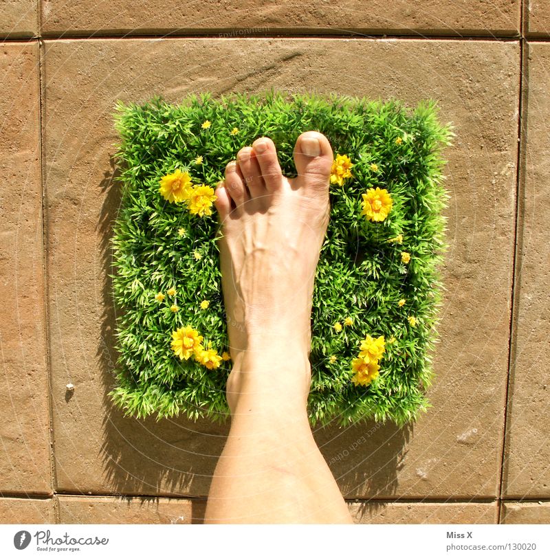 Quadratlatschen Farbfoto Außenaufnahme Fuß Blume Gras laufen mehrfarbig grün Glück Fröhlichkeit Zufriedenheit Lebensfreude Zehen Rasen gestellt