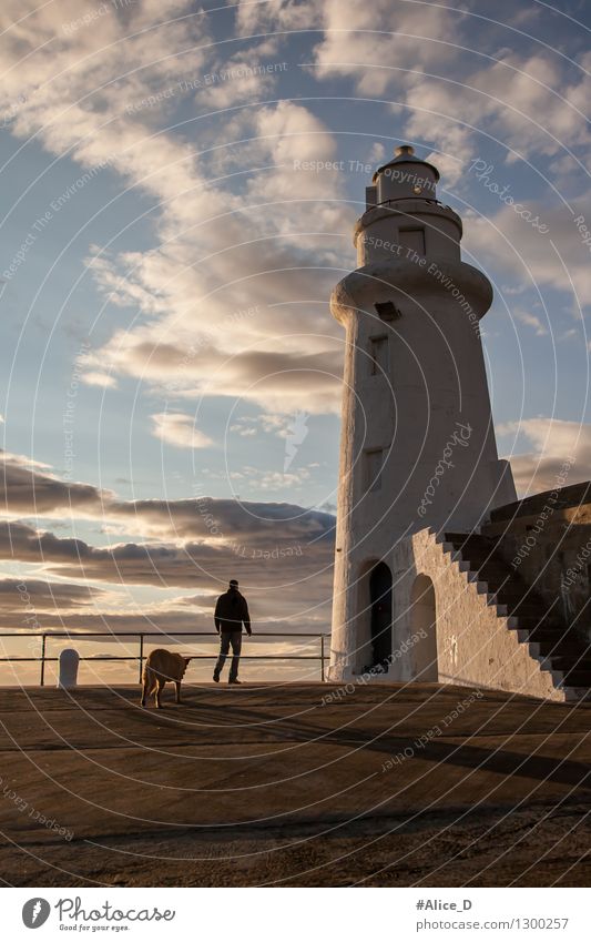 Der Leuchtfeuerwärter Macduff Schottland Mensch maskulin Mann Erwachsene 1 Architektur Himmel Europa Hafenstadt Turm Leuchtturm Tier Haustier Hund gehen blau