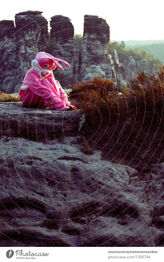 Poor Lil' Bunny Kunst Kunstwerk ästhetisch Natur Sächsische Schweiz Felsen rosa Karnevalskostüm verkleidet Traurigkeit In sich gekehrt nachdenklich hocken