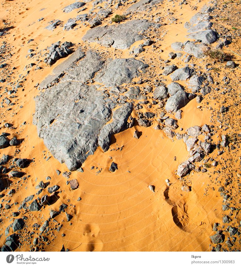 Marokko Sahara und Rock Stein Himmel Natur Klima Farbe Ferien & Urlaub & Reisen Sand Geologie Steine gelb grau Textur abstrakt Farbfoto