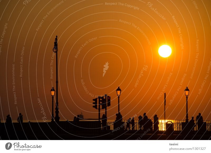 In der Dämmerung V Mensch Menschengruppe Wasser Sonne Sonnenaufgang Sonnenuntergang Sonnenlicht maritim Brücke Brückengeländer Straßenbeleuchtung Abenddämmerung
