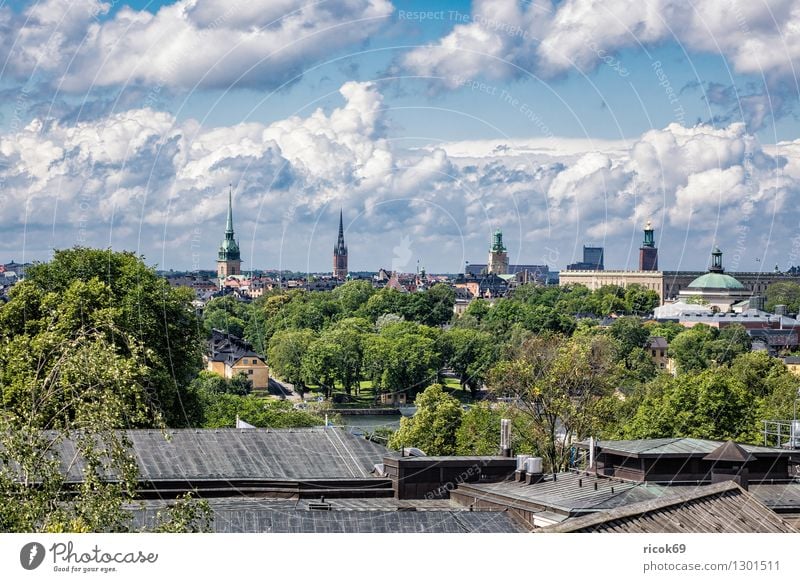 Blick auf Stockholm Erholung Ferien & Urlaub & Reisen Tourismus Haus Wolken Baum Küste Stadt Hauptstadt Gebäude Architektur Sehenswürdigkeit blau grün Schweden