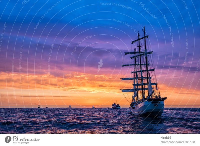Segelschiffe auf der Hanse Sail Erholung Ferien & Urlaub & Reisen Tourismus Segeln Wasser Wolken Ostsee Schifffahrt maritim gelb rot Romantik Idylle Tradition