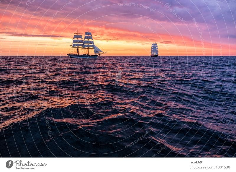 Segelschiffe auf der Hanse Sail Erholung Ferien & Urlaub & Reisen Tourismus Segeln Wasser Wolken Ostsee Schifffahrt maritim gelb rot Romantik Idylle Natur
