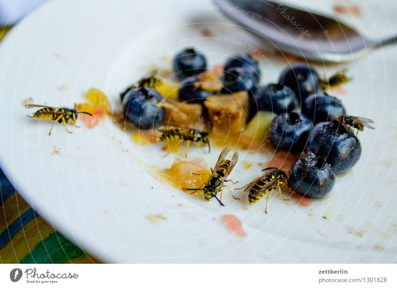 Noch mehr Wespen gemeine wespe Hautflügler Insekt stechen Plage Kuchen Frucht Salat Salatbeilage Obstsalat süß ködern lästig Störung gestört nerven bedrohlich