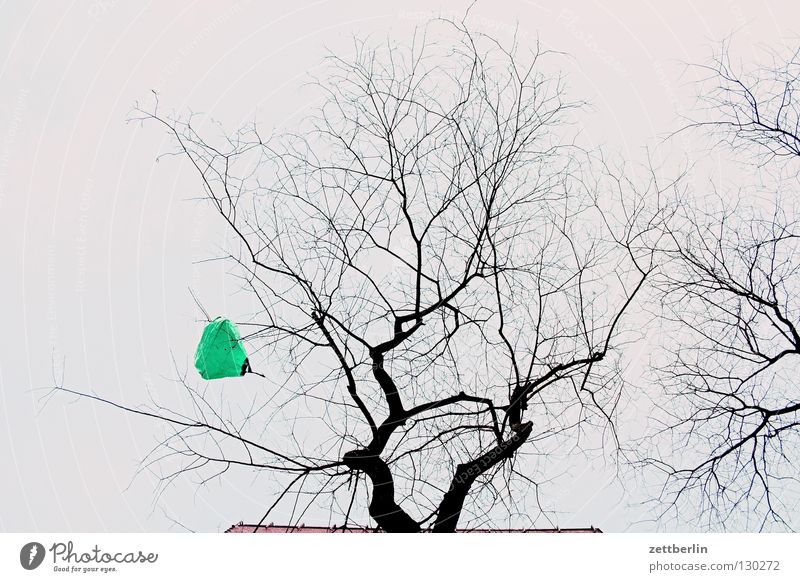 Frühlingstüte Baum Plastiktüte Froschperspektive gefangen Schmuck Dekoration & Verzierung Ast Zweig verfangen aufgehängt weihnachtsbaumersatz