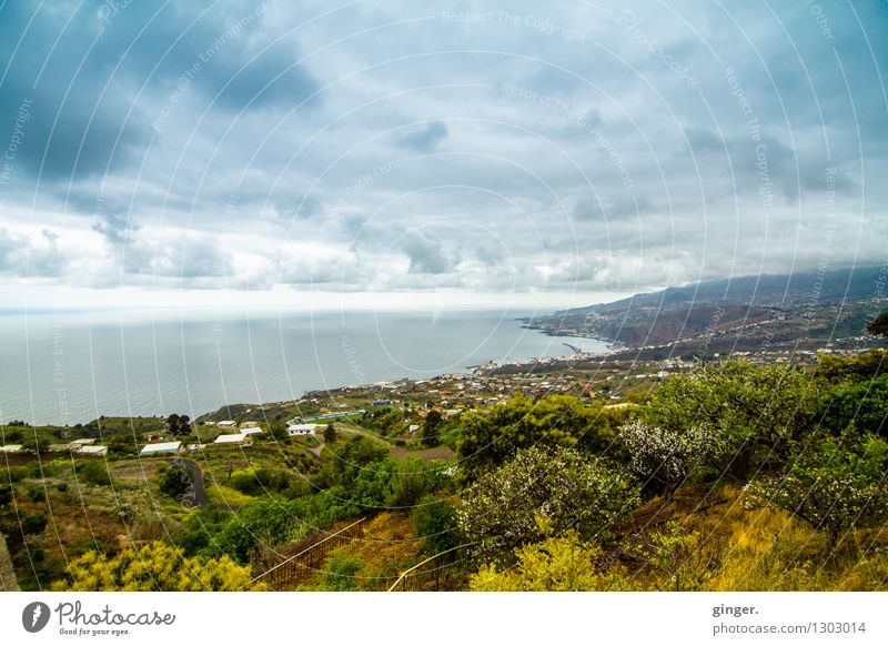 La Palma - Blick auf Santa Cruz de La Palma Umwelt Natur Landschaft Pflanze Erde Luft Wasser Himmel Wolken Horizont Frühling Klima Wetter Nebel Baum Sträucher