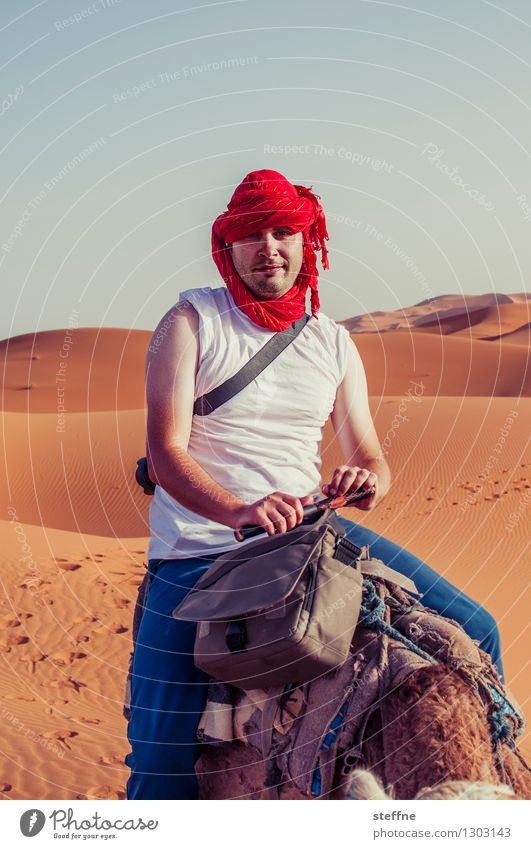 1500 ungeschönte Ansichten Wüste hässlich lustig steffne Kamel Düne Jubiläum Farbfoto Außenaufnahme Porträt
