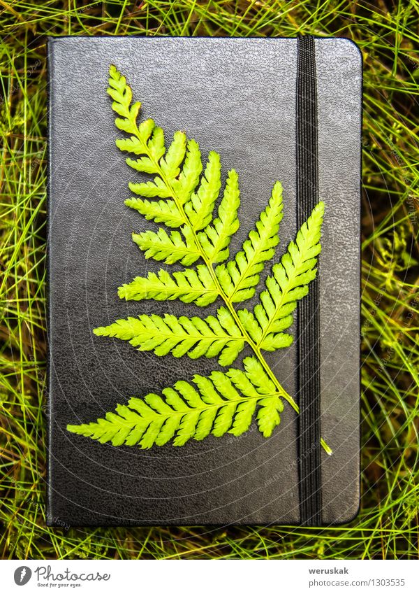 Geschlossenes schwarzes Notizbuch mit einem grünen Farnblatt befestigt Buch Natur Gras Wald Schreibwaren Papier ästhetisch authentisch elegant frisch natürlich