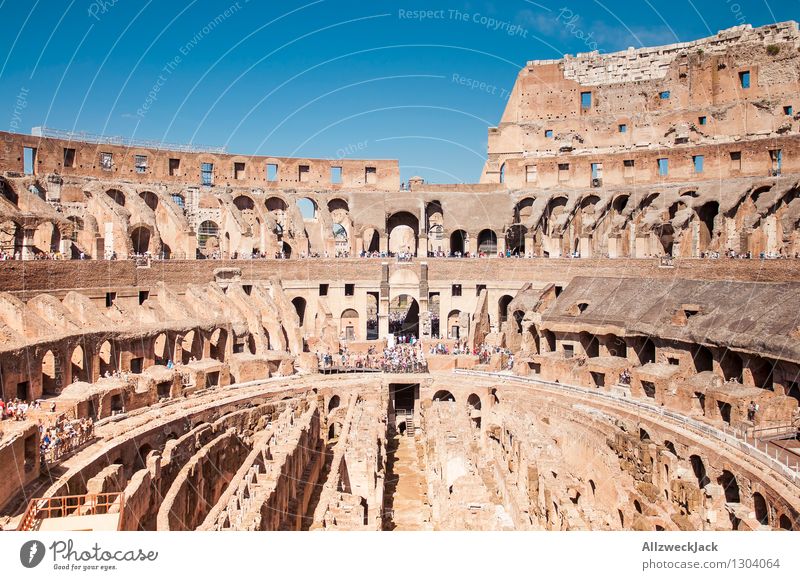 Rom III Italien Europa Hauptstadt Altstadt Architektur Sehenswürdigkeit Wahrzeichen Kolosseum alt ästhetisch Bekanntheit Stadt braun Senior Stadion Ruine
