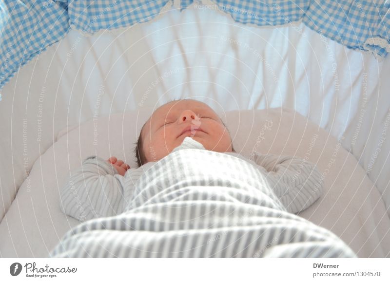 schlafender ... Stil Design schön Gesicht Bett Kind Baby 1 Mensch leuchten träumen frisch Gesundheit glänzend Glück weich blau weiß Gefühle Leidenschaft