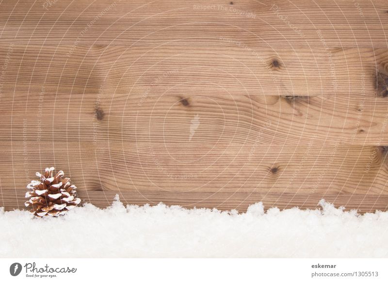 im Schnee Weihnachtshintergrund Postkarte Winter Zapfen Holz ästhetisch einfach retro braun weiß Lebensfreude Farbfoto Gedeckte Farben Menschenleer