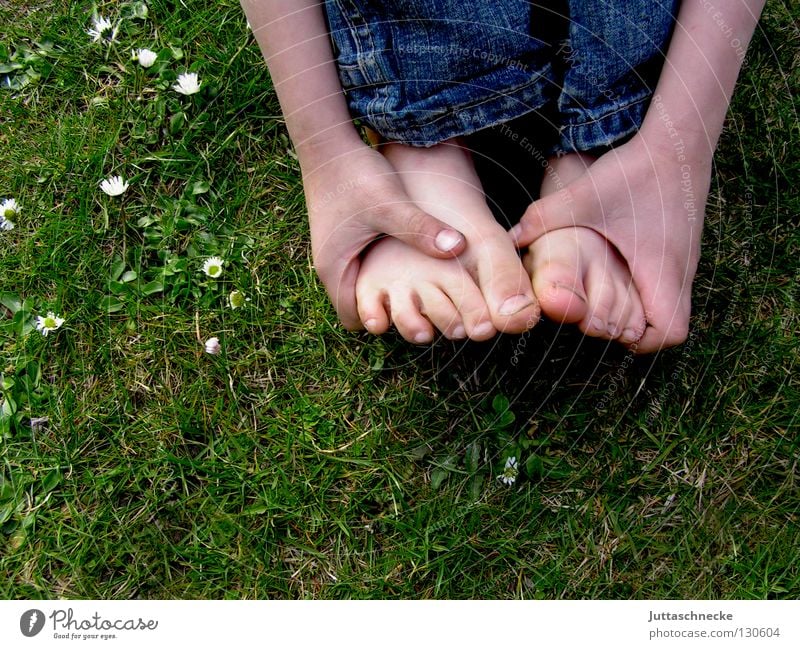 Fußreflexzonen Zehen Barfuß Hand Finger hocken Gras Wiese Kinderfuß Schuhe dreckig Gänseblümchen Blume verlegen Fußreflexzonen-Massage Gesundheit Halm
