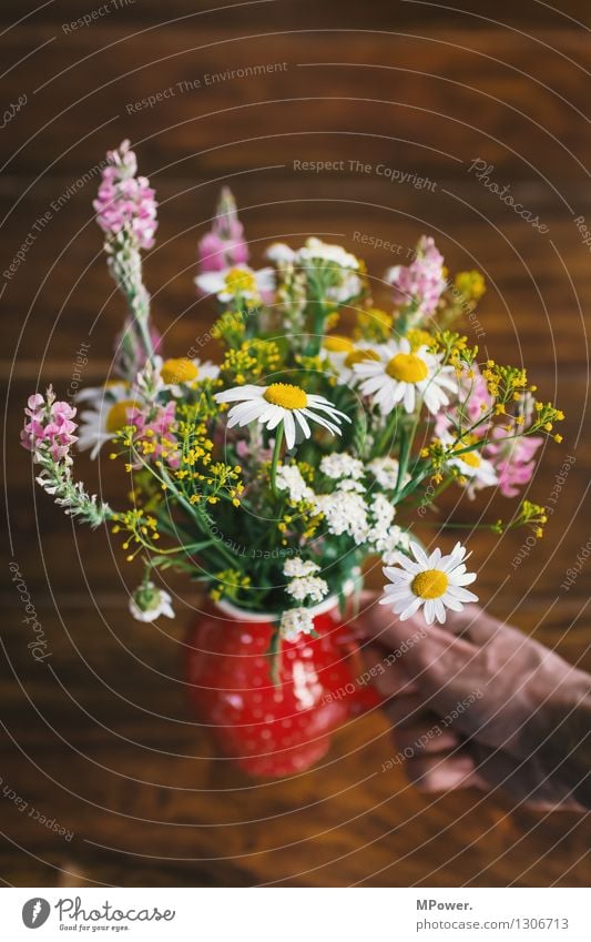 ein bunter strauß 1 Mensch Pflanze Blume schön Blumenstrauß Frühlingsblume Hand Vase Duft Geschenk Muttertag Kräuter & Gewürze Holztisch Gruß Freude Farbfoto