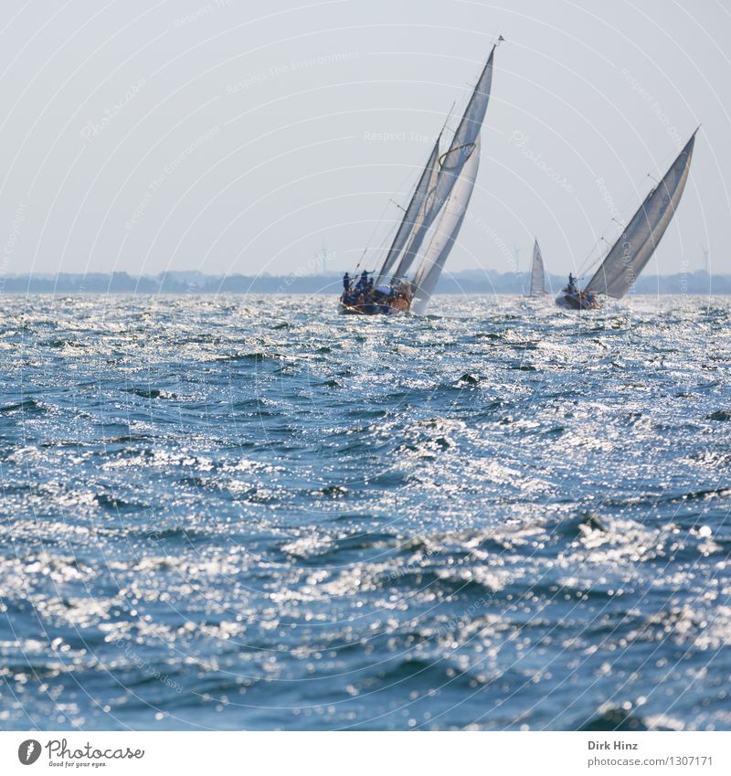 Fernweh II Ferien & Urlaub & Reisen Tourismus Sommer Sommerurlaub Sonne Segeln Jacht Freude Geschwindigkeit Lebensfreude Natur Segelboot Segeljacht Segeltörn