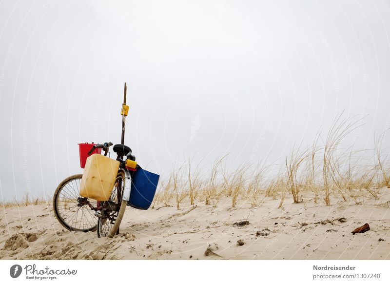 Dänische Impressionen.... Lifestyle Ferien & Urlaub & Reisen Strand Meer Fahrradfahren Natur Landschaft Klima schlechtes Wetter Pflanze Küste Wege & Pfade