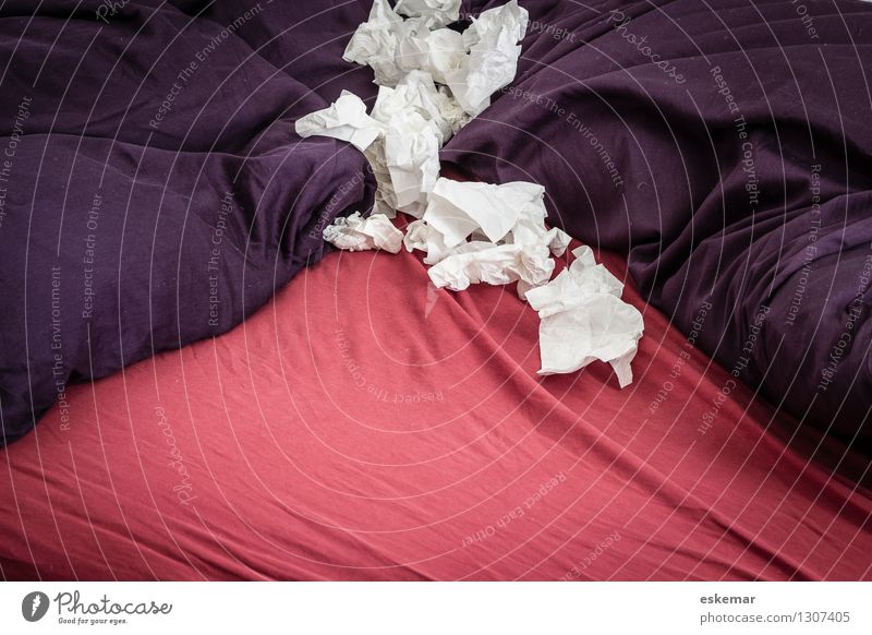 Erkältung Wohnung Bett Schlafzimmer Taschentuch Krankheit violett rot Gesundheit Gesundheitswesen Häusliches Leben Farbfoto Innenaufnahme Menschenleer