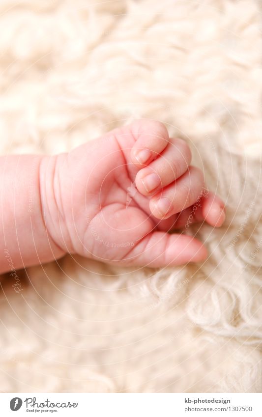 Hand of a small baby Körperpflege Gesundheit Gesundheitswesen Mensch Baby 1 festhalten child head health medicine silence sleep toddler young blanket Farbfoto