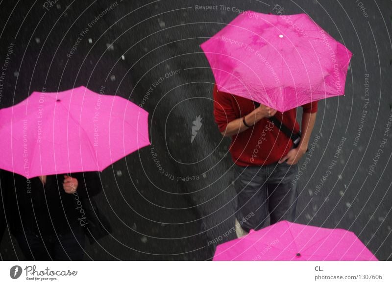 nasse straßen Mensch Erwachsene Leben 2 Herbst Klima Klimawandel Wetter schlechtes Wetter Regen Verkehr Verkehrswege Fußgänger Straße Regenschirm gehen rosa