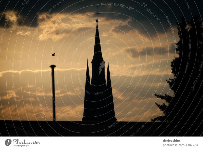 Der Tag  geh imt Ortsteil von Frankfurt a/ M. Kirchturm Spitze mit fliegendenm Vogel und dunklen Wolken. ruhig Ausflug Kirche Umwelt Sonnenaufgang