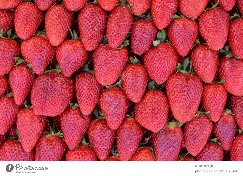 roter Hintergrund der frischen Früchte der Erdbeeren Frucht Ernährung Blatt Nutzpflanze lecker natürlich saftig grün Farbe Konsistenz Lebensmittel Anhäufung