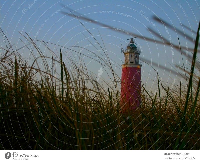 leuchtturm {texel} Leuchtturm Niederlande Meer Stimmung Stranddüne tessel Texel Dämmerung Dünengras Wind