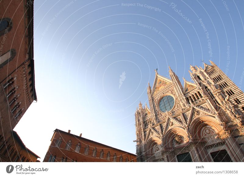 Siena Wolkenloser Himmel Italien Toskana Kleinstadt Stadt Stadtzentrum Altstadt Haus Religion & Glaube Kirche Dom Palast Platz Turm Bauwerk Gebäude Architektur