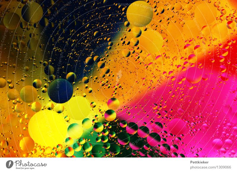 Kreise und Farben Kunst Wasser exotisch einzigartig schön gelb grün rot Glück Fröhlichkeit Öl und Wasser Farbfoto Innenaufnahme Experiment abstrakt Menschenleer