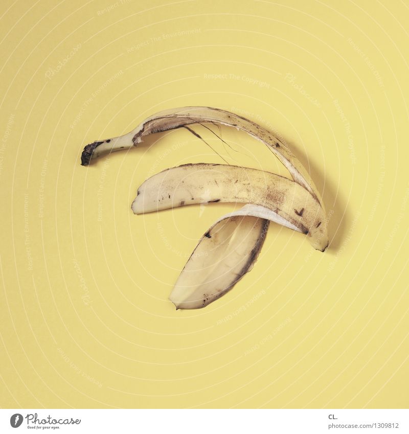 sprung Lebensmittel Banane Ernährung Essen Bioprodukte Vegetarische Ernährung Diät Fasten Gesunde Ernährung Müll Gesundheit lecker gelb Farbfoto Innenaufnahme