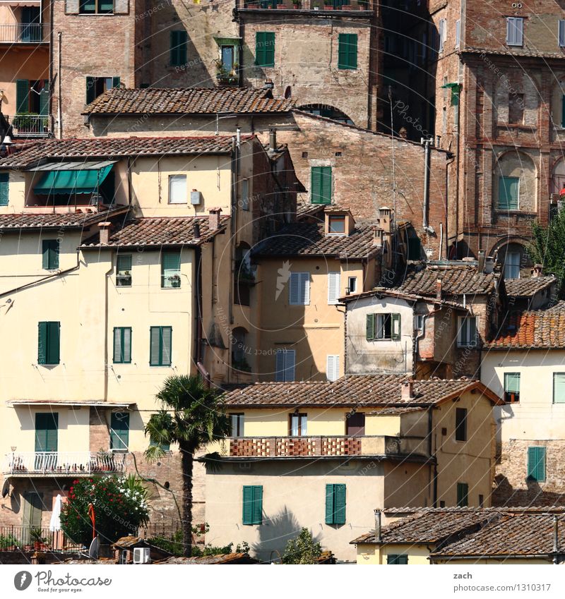 Nachbarschaft Italien Toskana Dorf Kleinstadt Stadtzentrum Altstadt überbevölkert Haus Hütte Bauwerk Gebäude Architektur Mauer Wand Fassade Balkon Terrasse