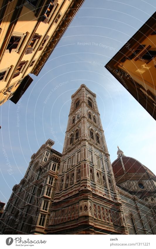 hoch hinaus | Dominanz Ferien & Urlaub & Reisen Tourismus Städtereise Wolkenloser Himmel Schönes Wetter Florenz Italien Toskana Stadt Stadtzentrum Altstadt