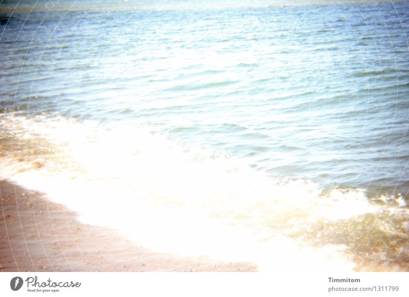 Oh Dänien! Umwelt Natur Urelemente Wasser Sommer Schönes Wetter Strand Sand ästhetisch hell natürlich blau braun weiß Gefühle Lebensfreude Wellen Horizont