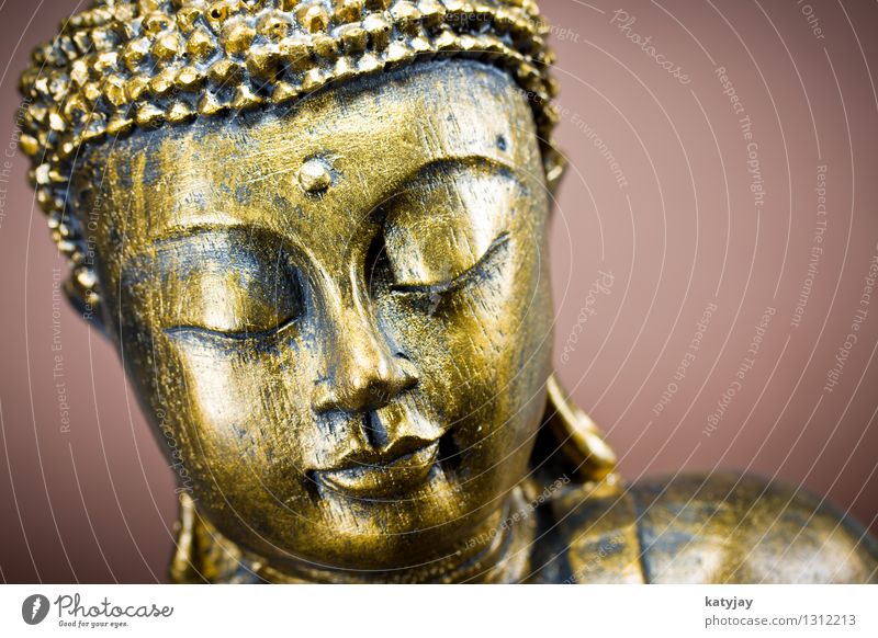 Buddha Buddhismus siddhartha Religion & Glaube Meditation Wellness Erkenntnis Statue ruhig Massage Erholung Gesicht Asien Gebet Körper kultig Kunst Kultur
